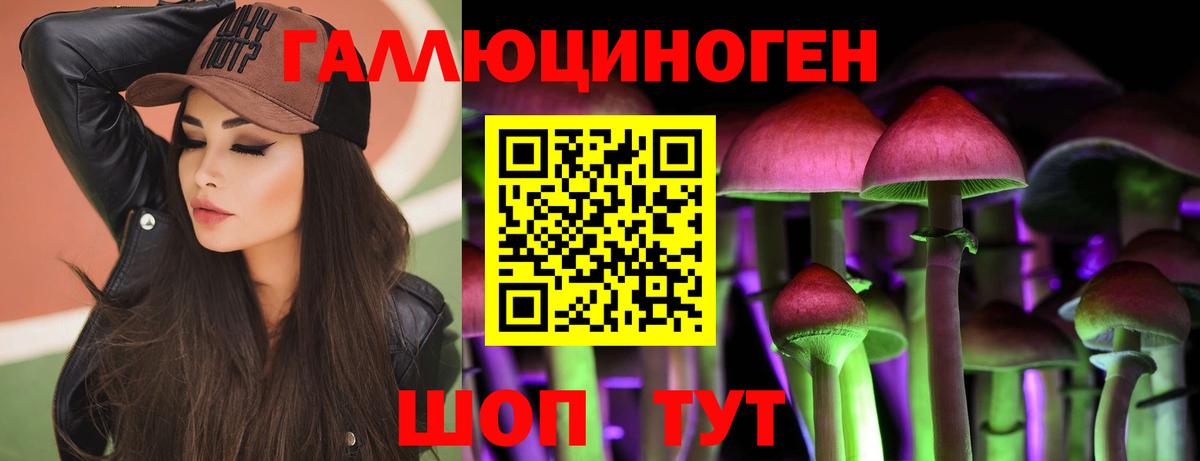 Псилоцибиновые грибы MAGIC MUSHROOMS  Вход с VPN  Магнитогорск 